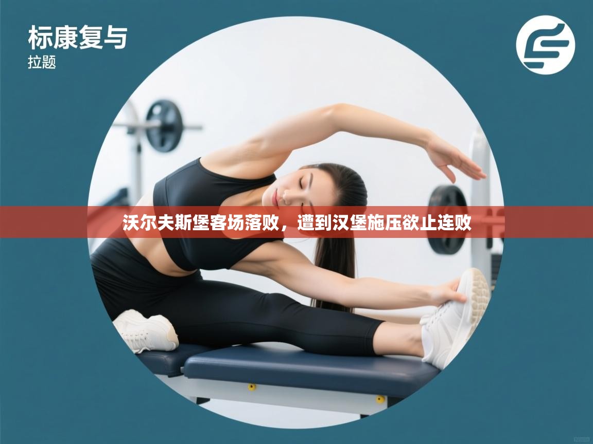 沃尔夫斯堡客场落败,遭到汉堡施压欲止连败 第2张