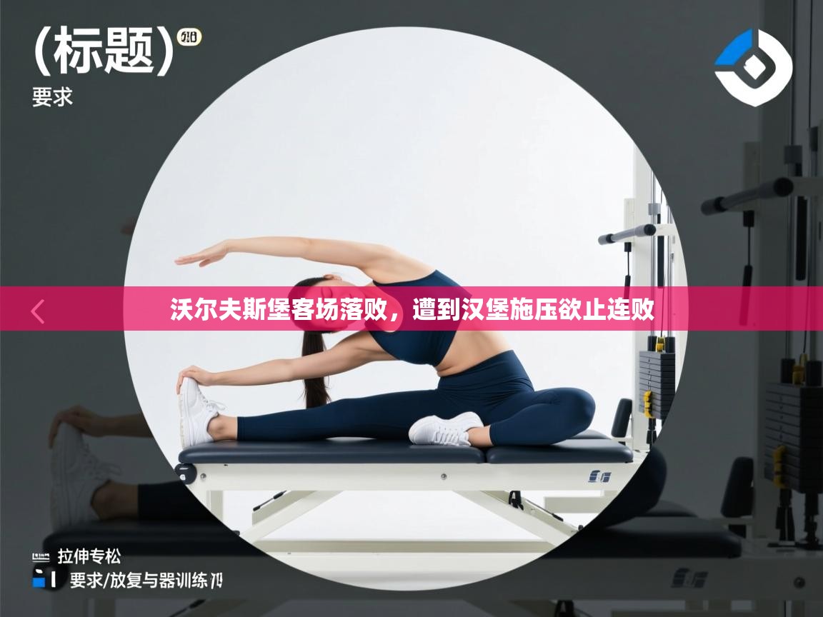 沃尔夫斯堡客场落败,遭到汉堡施压欲止连败 第1张