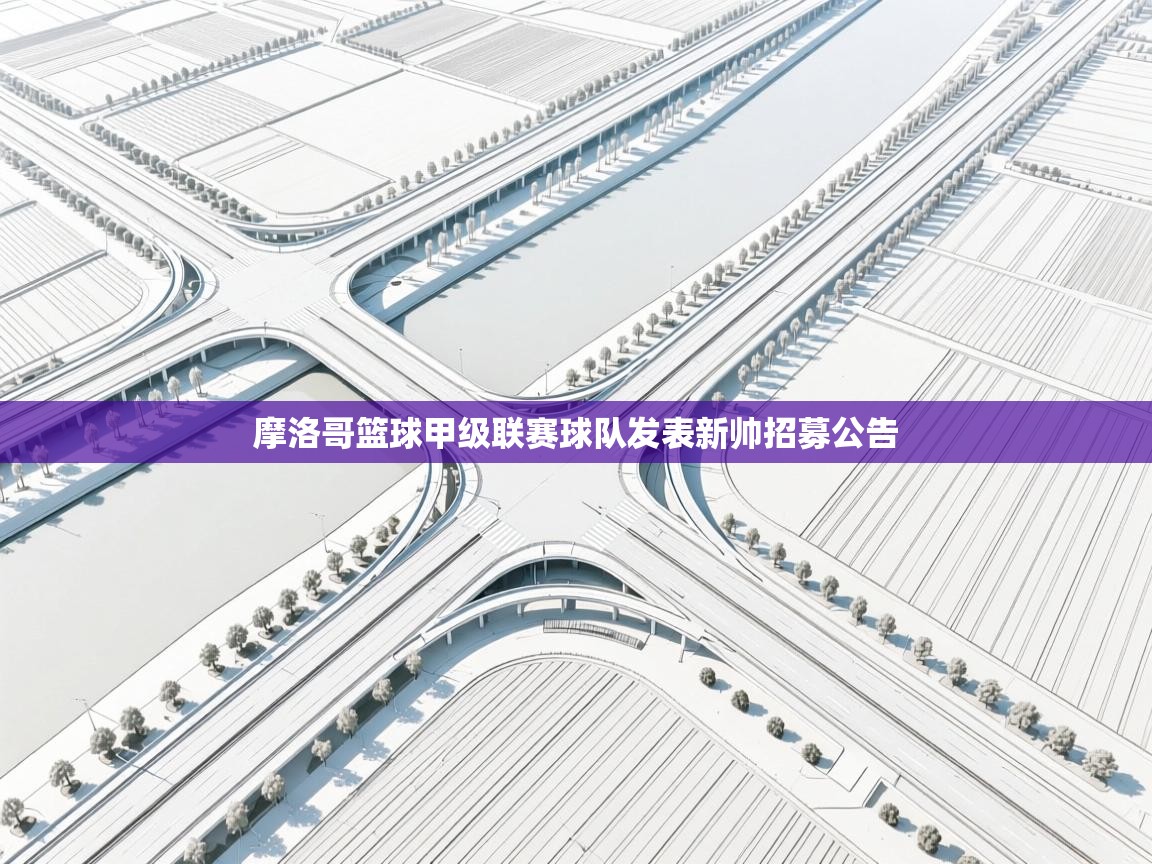 摩洛哥篮球甲级联赛球队发表新帅招募公告 第1张