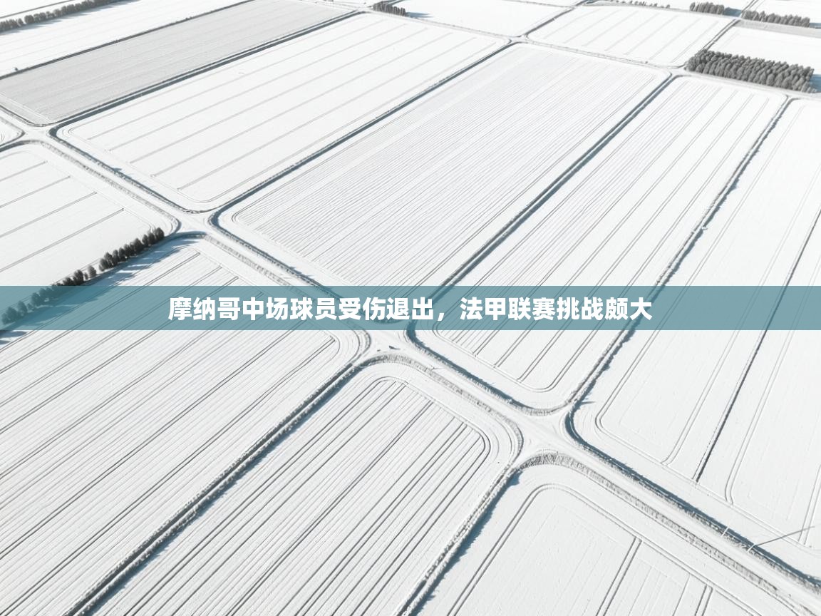 摩纳哥中场球员受伤退出，法甲联赛挑战颇大  第1张